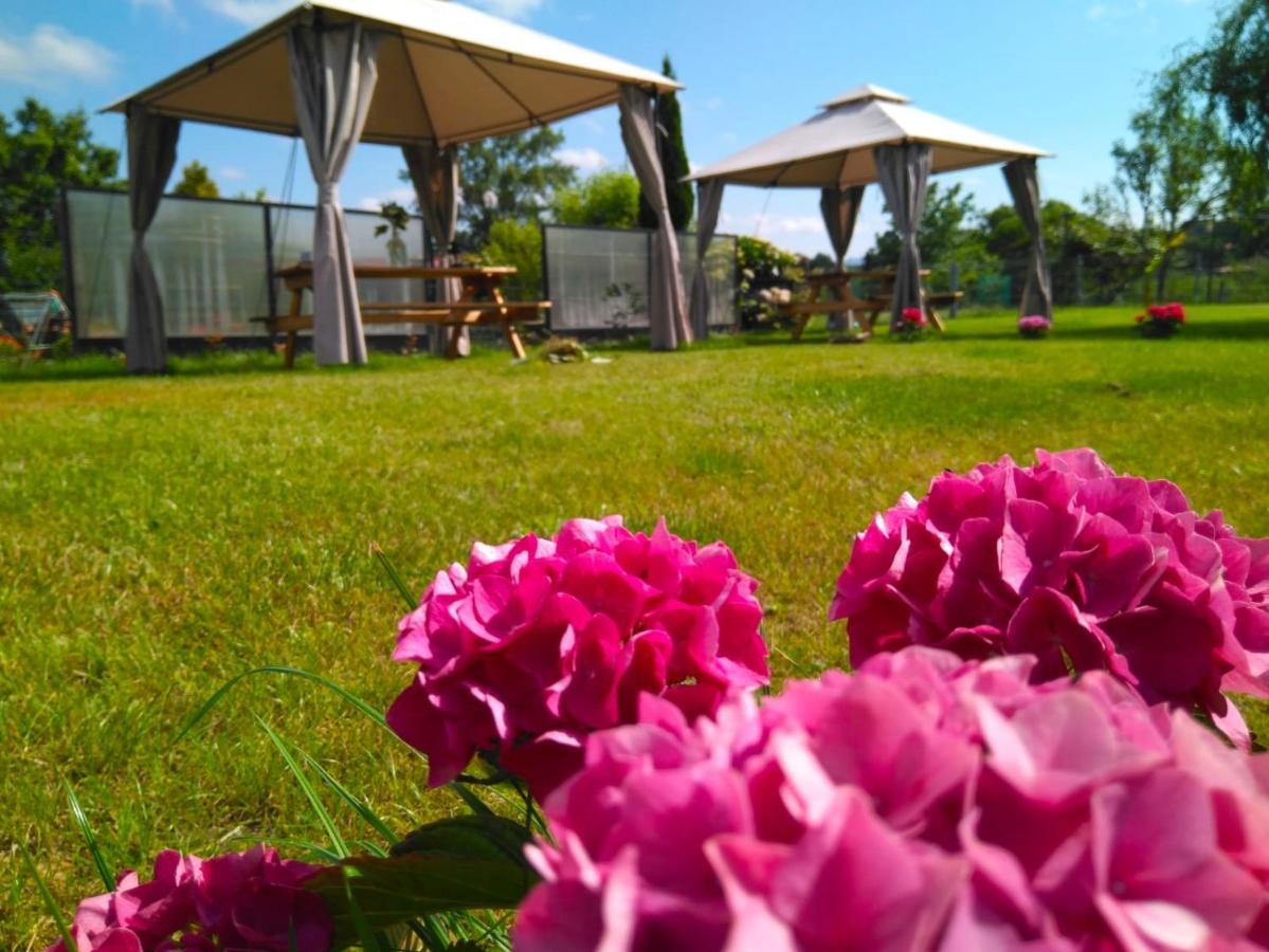 Casa Pepin - Sagasta Rural Oviedo Guest House Eksteriør bilde